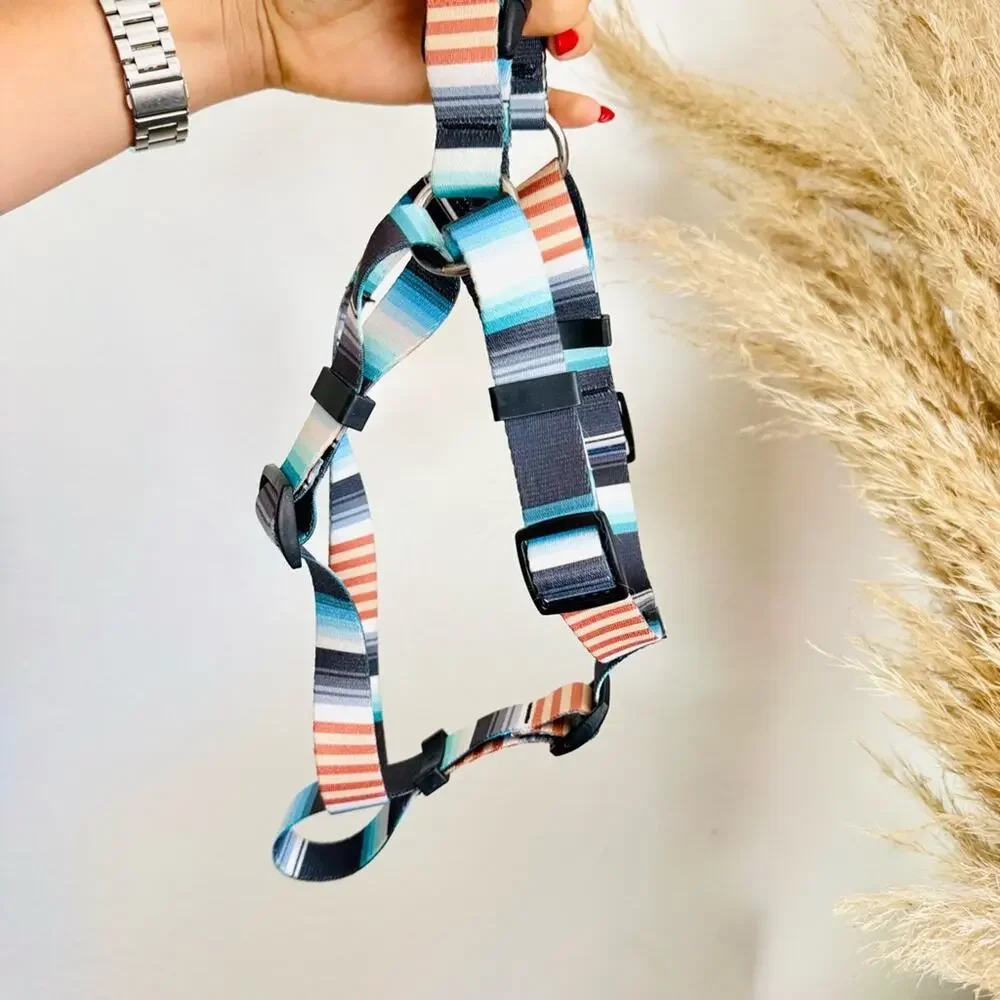 NEW LEEDS Jetty Blue White Orange Stripe Step Harness and 6’ Dog Leash $108 Set